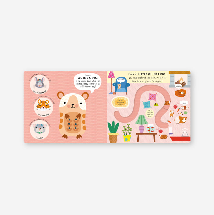 Little Journeys - Little Puppy