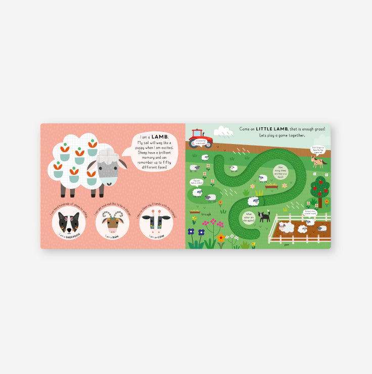 Little Journeys - Little Bear