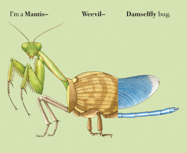 Build -A -Bug Flip Book