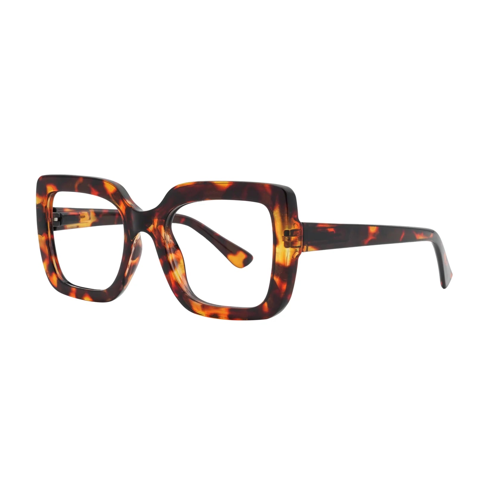 Aria Tortoise Shell Eyewear