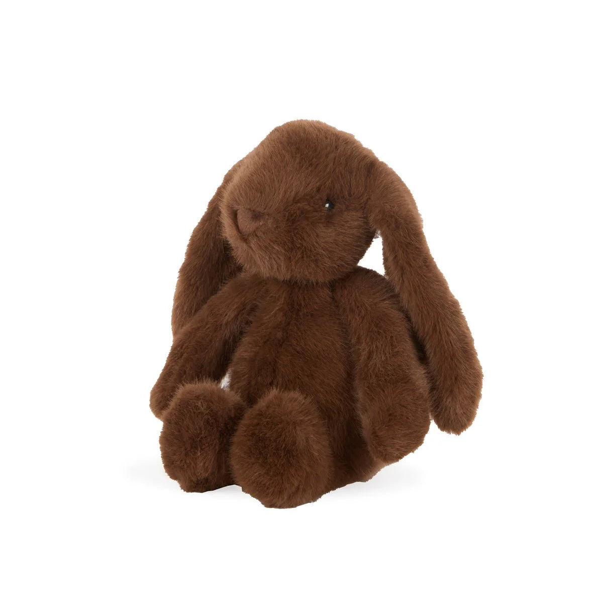Jasper the Bunny Medium