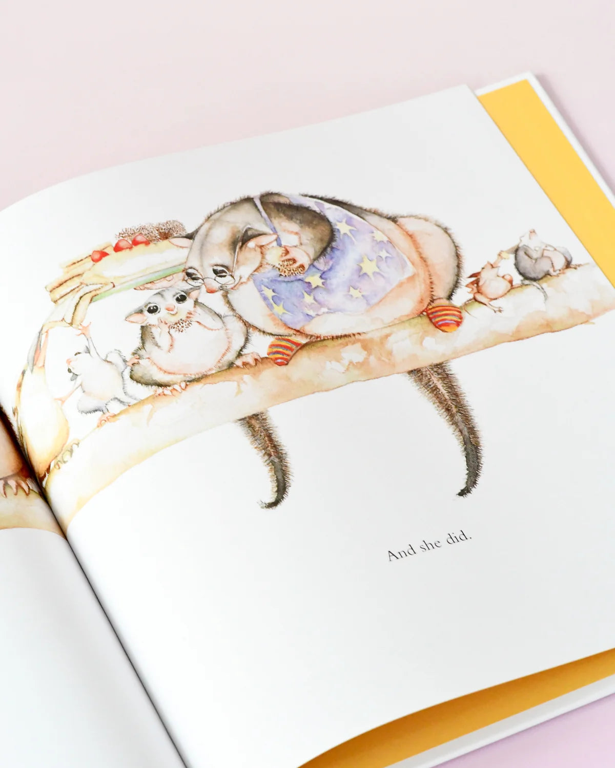Possum Magic Book by Mem Fox