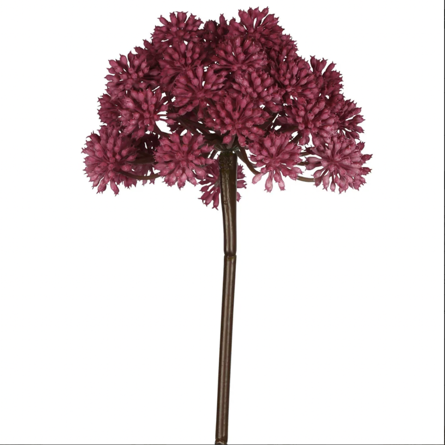 Allium Flower Stem