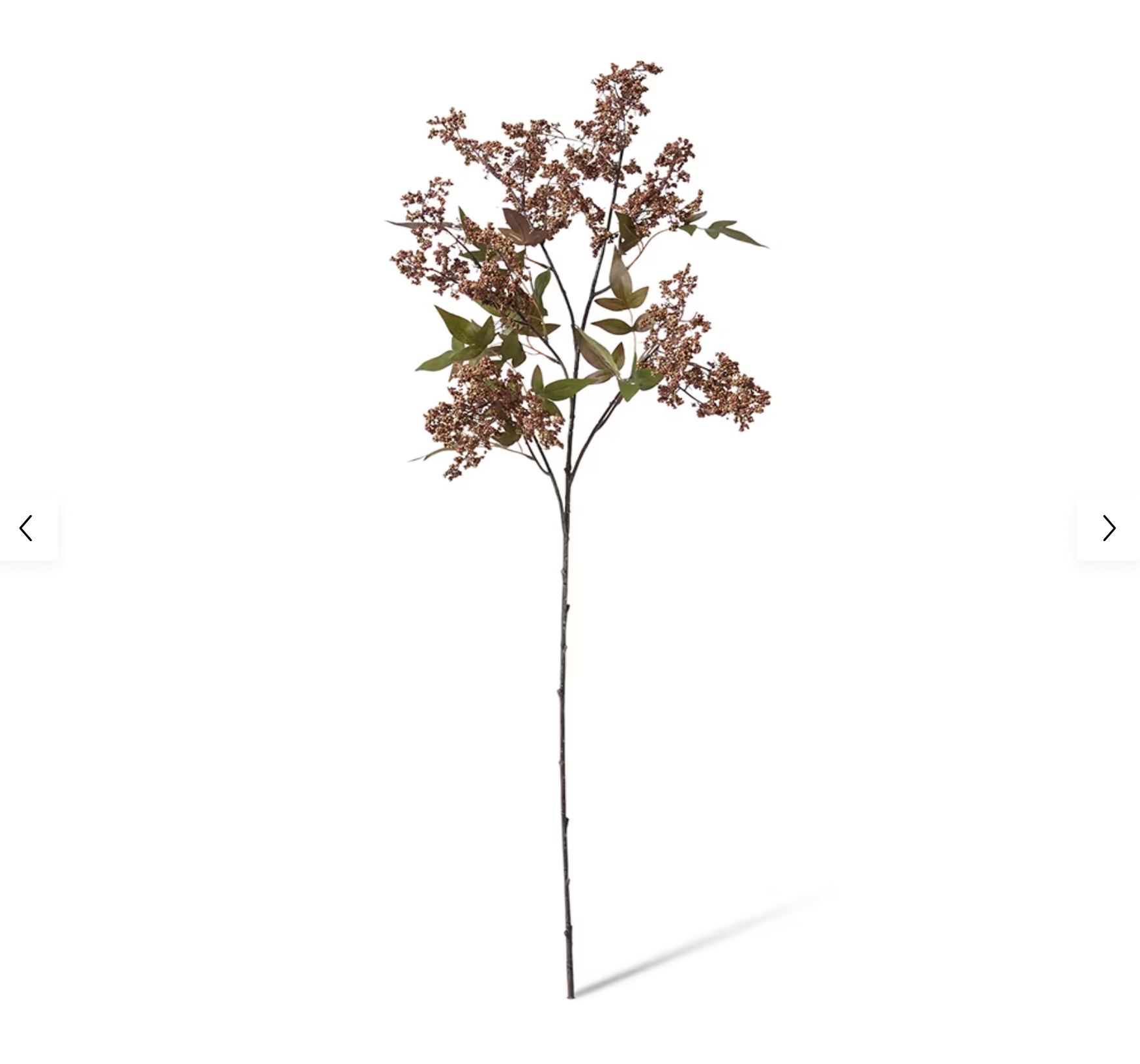 Pepper Berry Spray Brown - 45 x 24 x 110cm