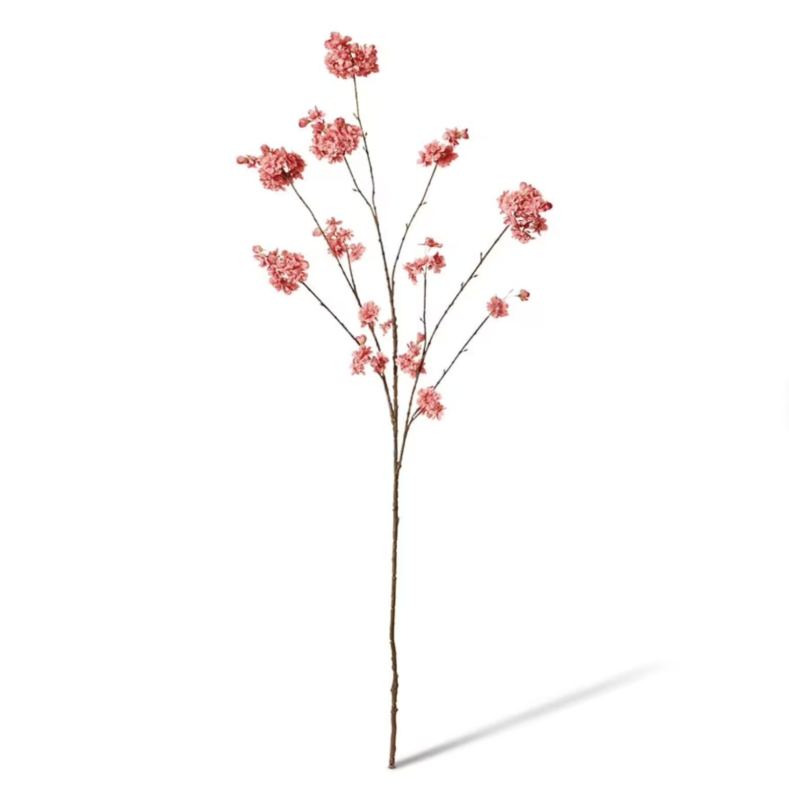 Crab Apple Blossom Spray Beauty
