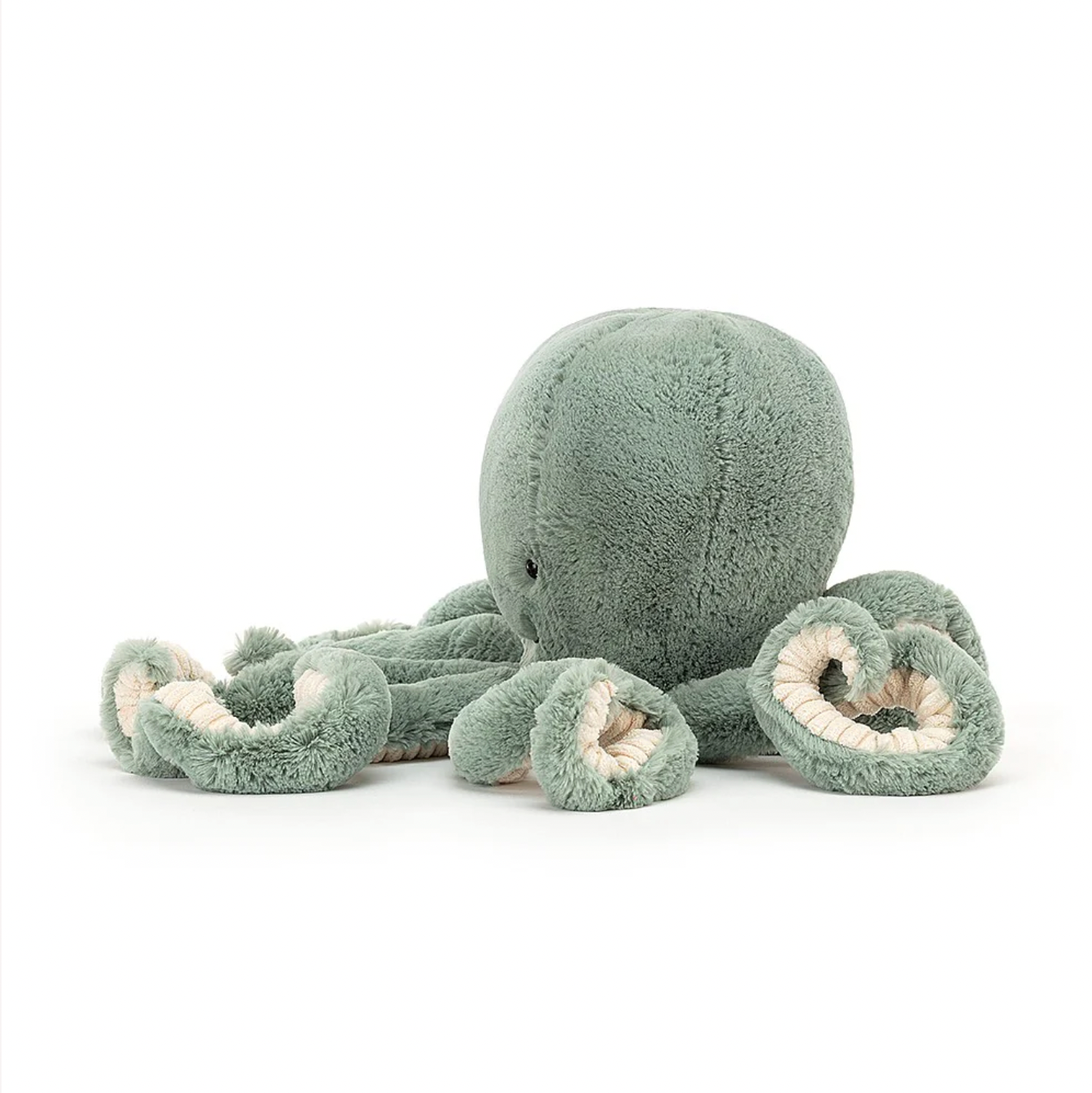 Odyssey Octopus Little