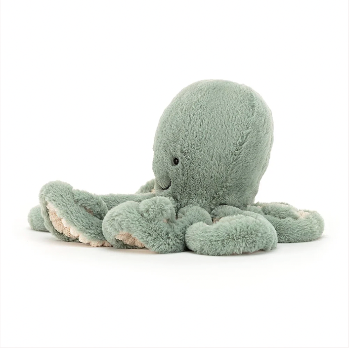Odyssey Octopus Little
