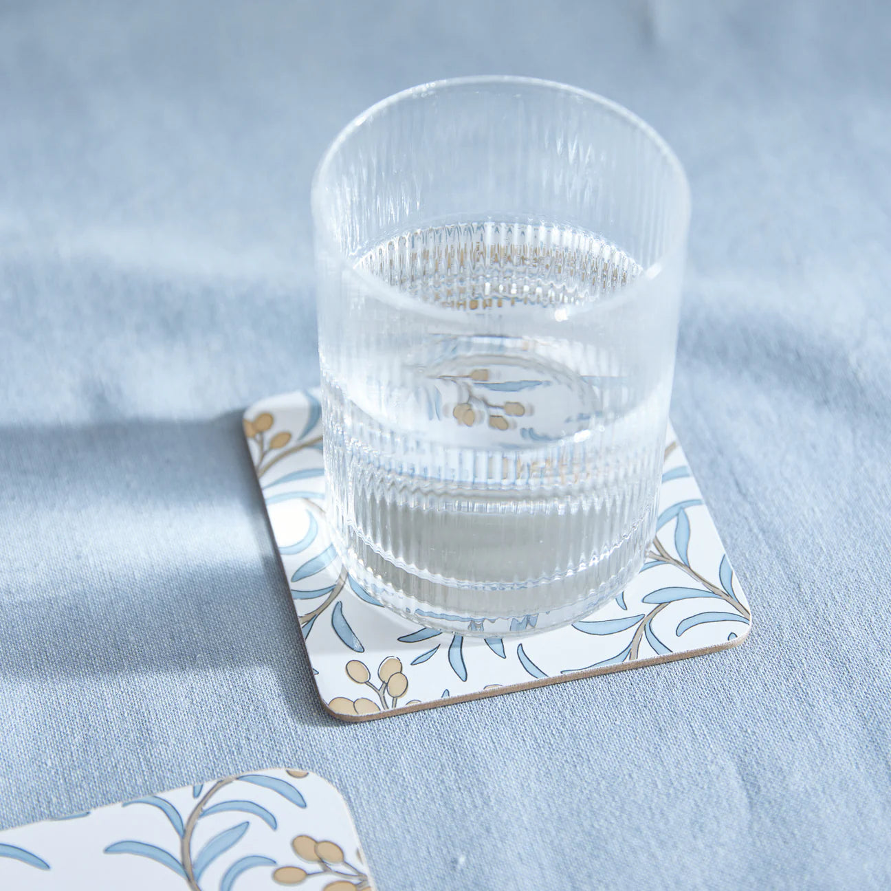Juniper Coaster Set of 4