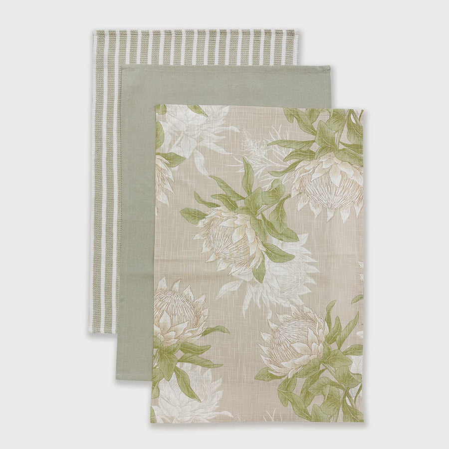 King Protea Tea Towels Set of 3