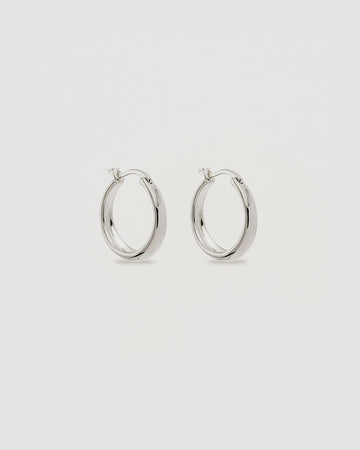 Infinite Horizon Large Hoops