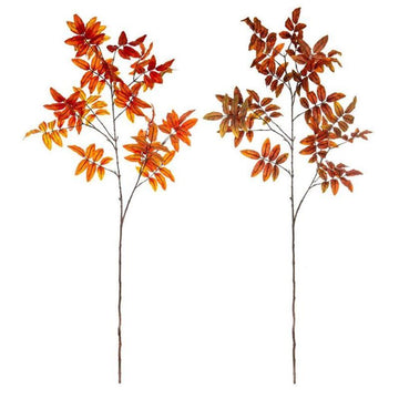 Autumn Sorbus Leaves - Kohl and Soda