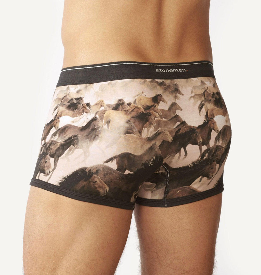 Shop Boxer Brief Brumbies - At Kohl and Soda | Ready To Ship!