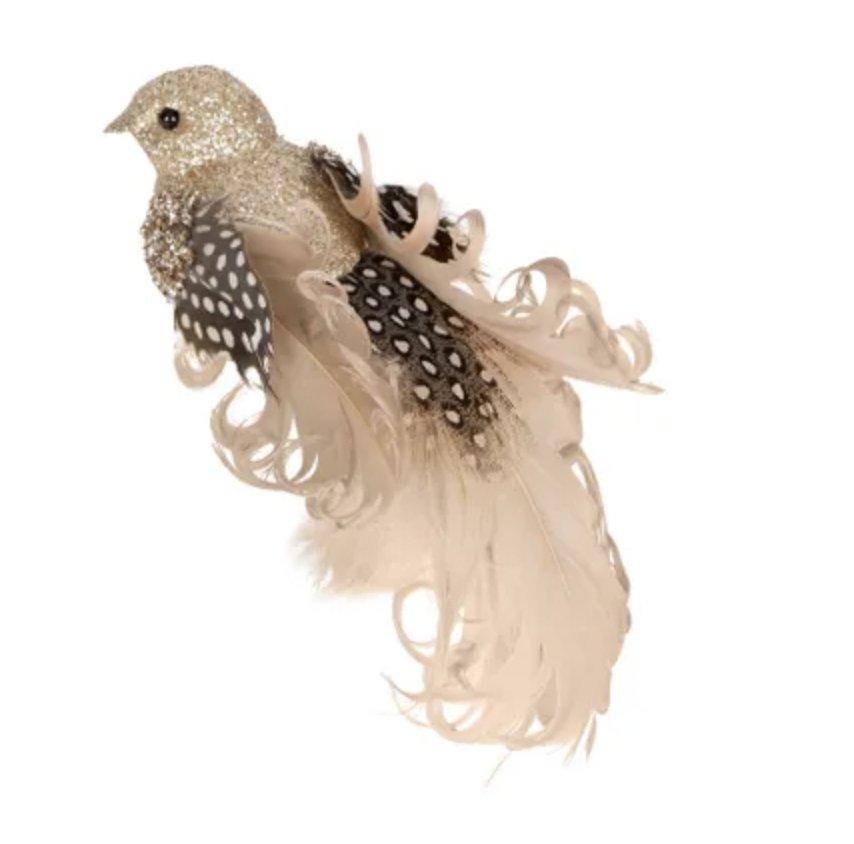 Shop Delila Spotted Clip on Bird - At Kohl and Soda | Ready To Ship!