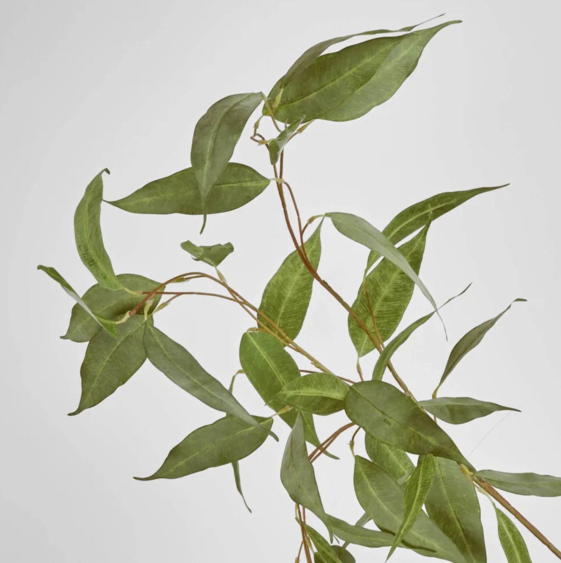 Eucalyptus Spray Green 117cm - Kohl and Soda
