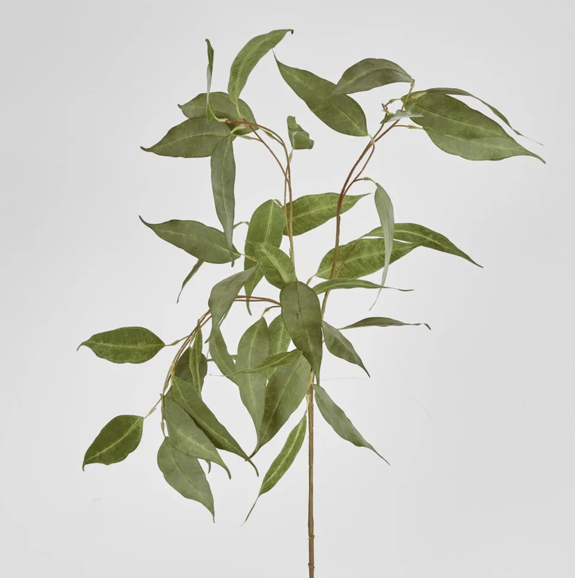 Eucalyptus Spray Green 117cm - Kohl and Soda