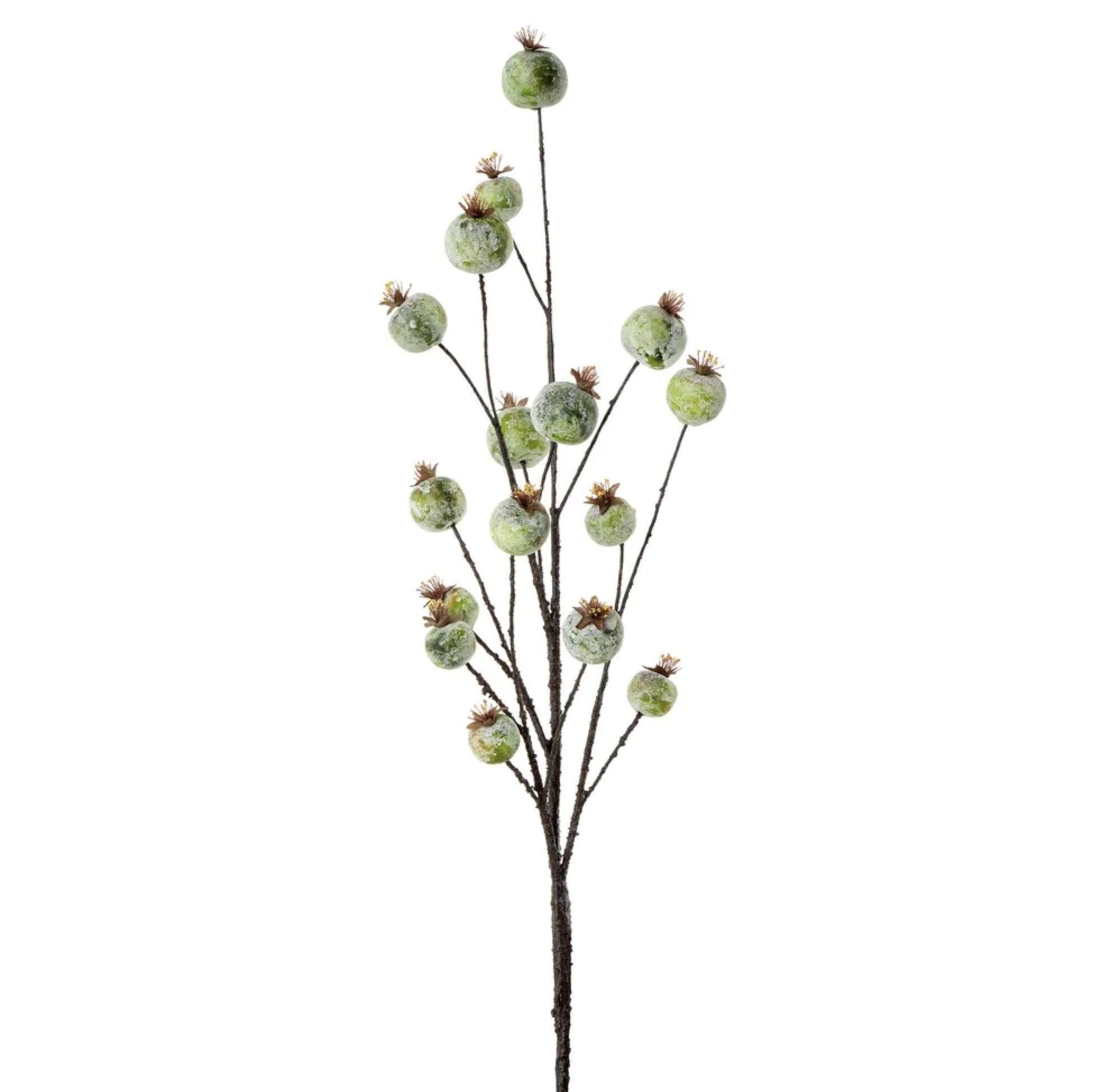 Shop Gumnut Spray 70cm - At Kohl and Soda | Ready To Ship!