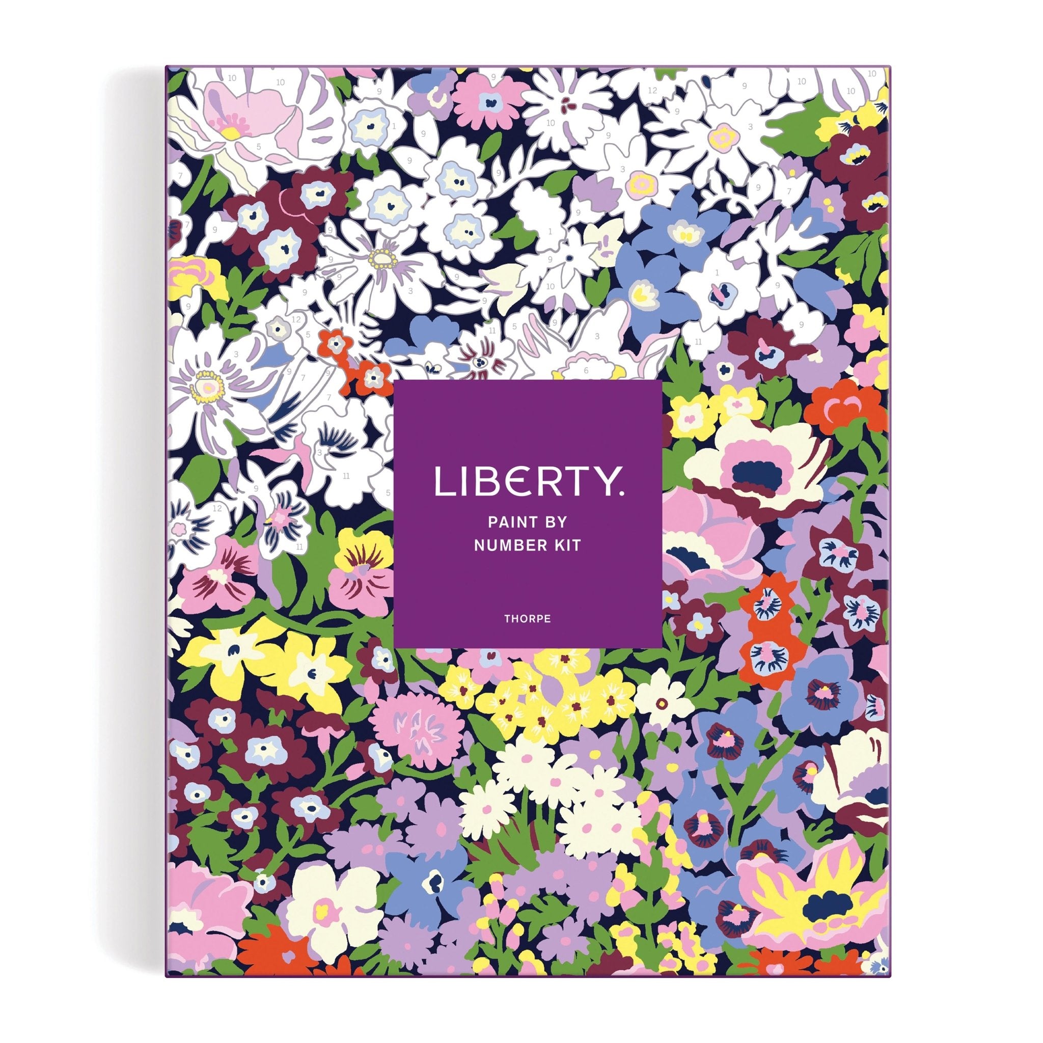 Liberty Paint By Numbers Kit - Kohl and Soda