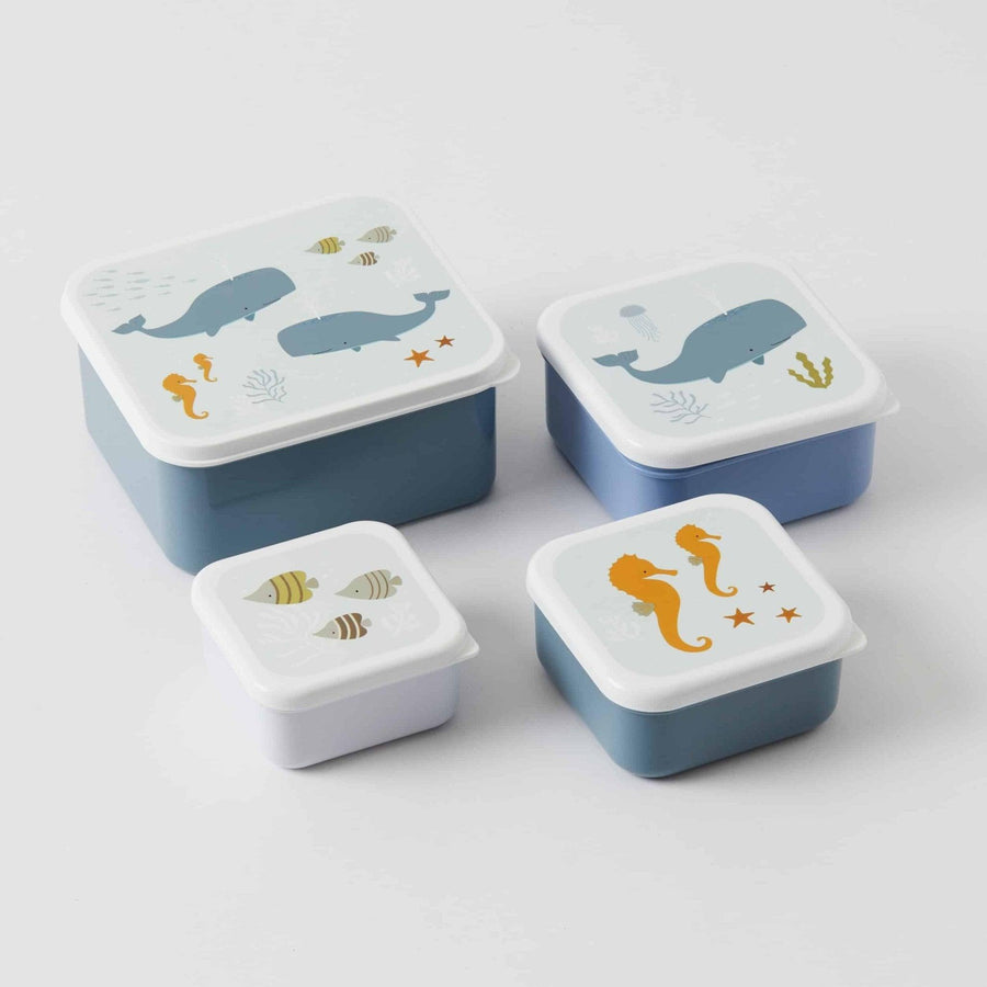 Shop Ocean Lunch & Snack Box Set - At Kohl and Soda | Ready To Ship!