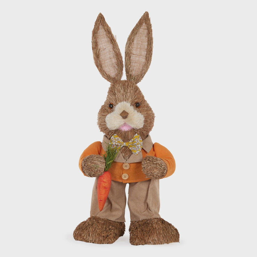 Shop Oliver Rabbit with Carrot - At Kohl and Soda | Ready To Ship!