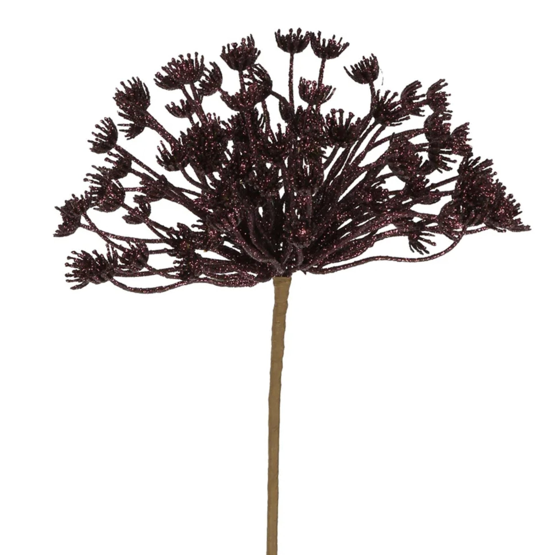 Que Floral Stem Plum - Kohl and Soda