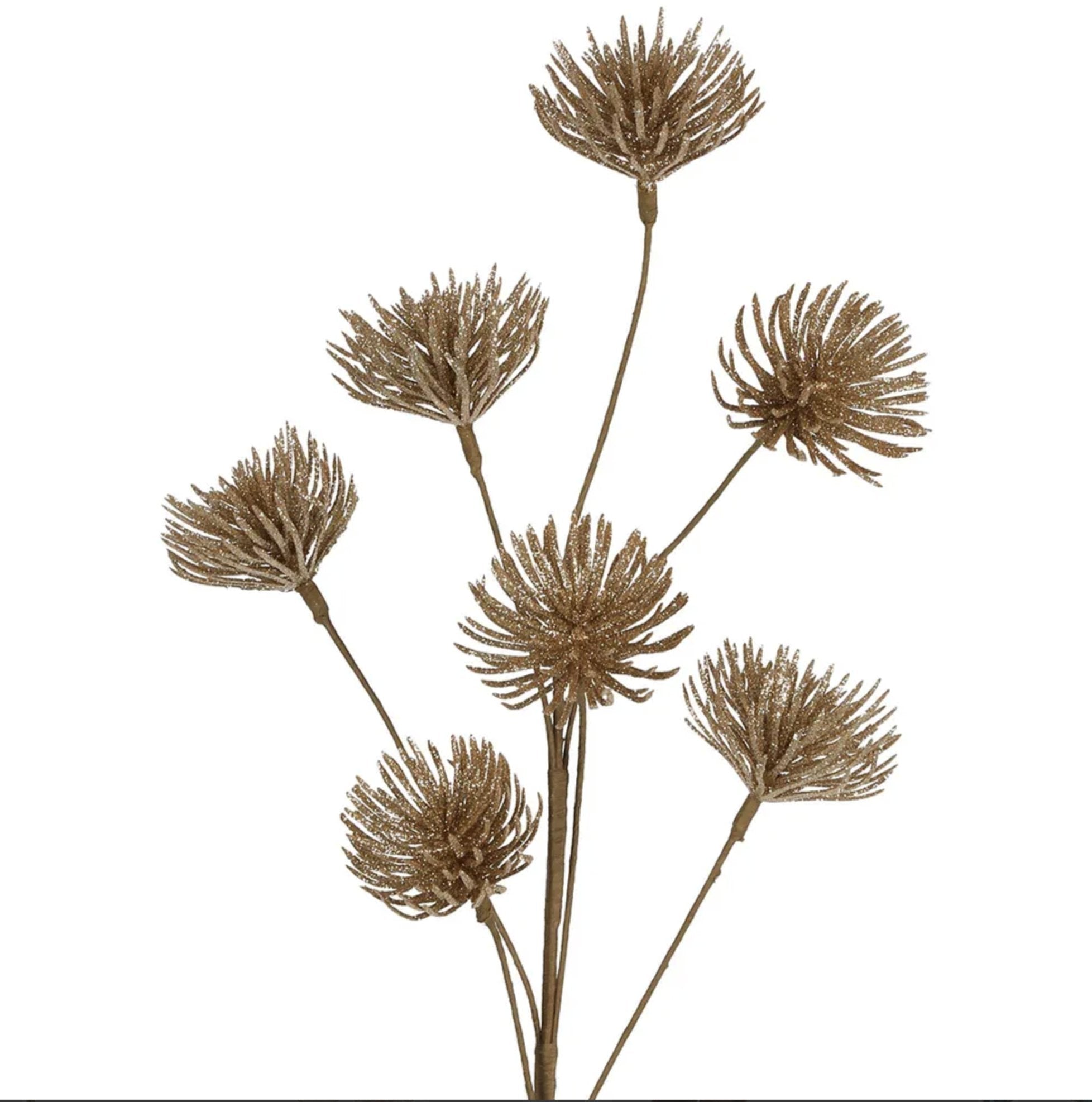 Salint Spike Floral Champagne - Kohl and Soda