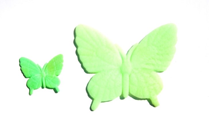 Shop Water World Butterflies - At Kohl and Soda | Ready To Ship!